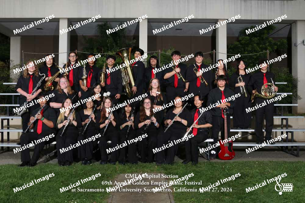 Musical Images